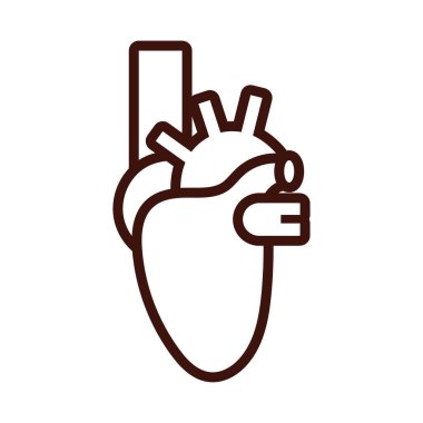 kalp insan organı tarzı