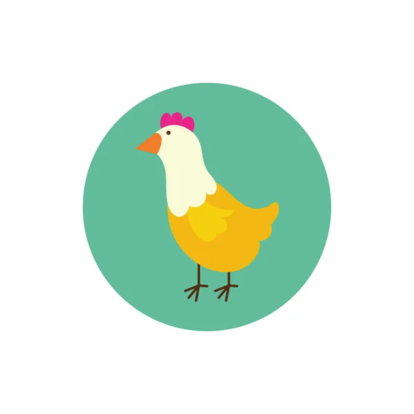 Lindo bloque de animales de granja de gallina y estilo plano — Vector de stock