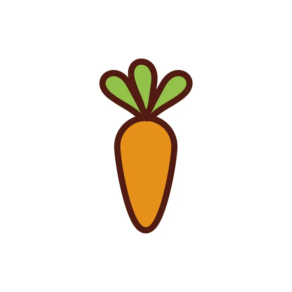 Свежая морковь растительный плоский стиль — стоковый вектор
