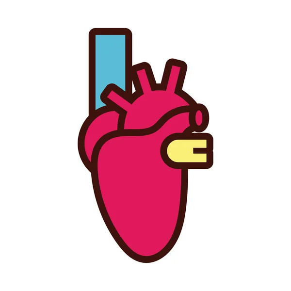 Herz menschliche Organlinie und Füllstil — Stockvektor
