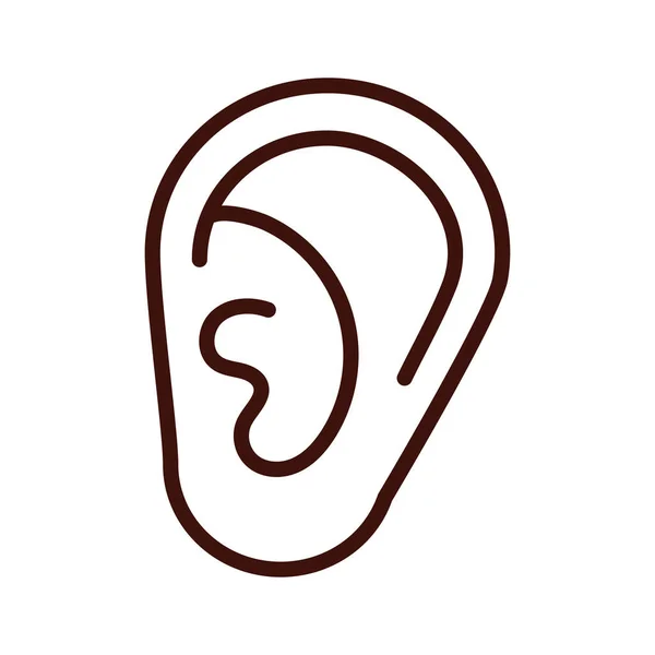 Ear human sense line style icon — Stock Vector