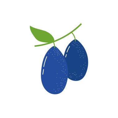 Böğürtlen egzotik meyve düzlüğü