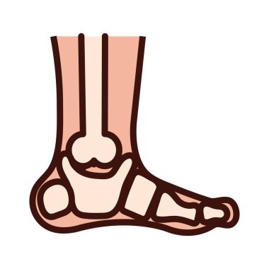 Ayak bileği, vücut, insan, kısmen düz.