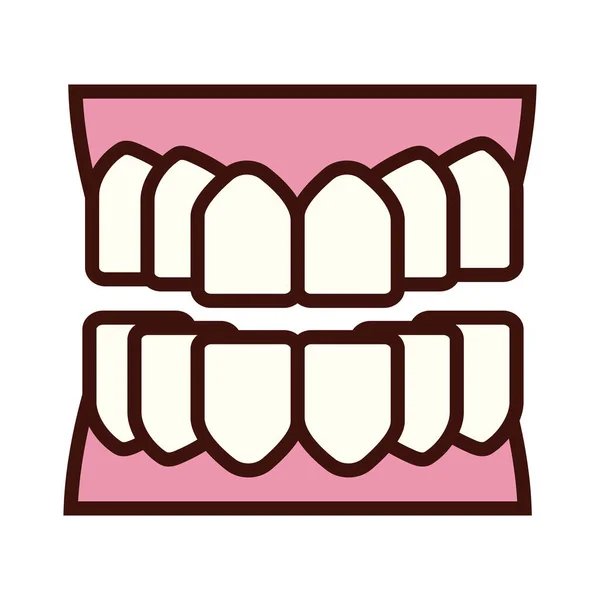 Teeth body part flat style — Stock Vector