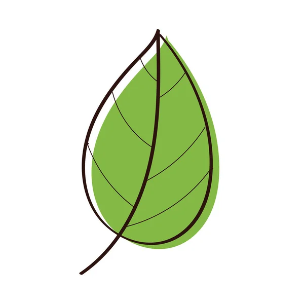 Leaf plant ecology hand draw style icon — 图库矢量图片