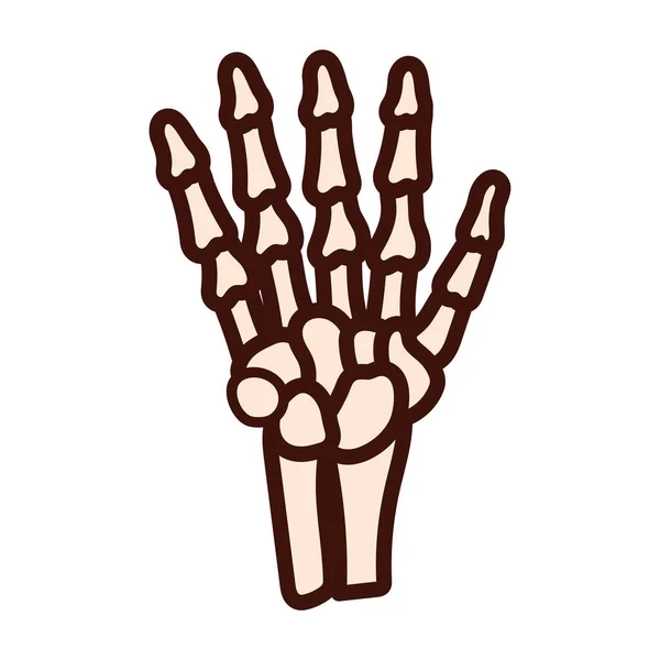 Bones hand body human part flat style — 图库矢量图片