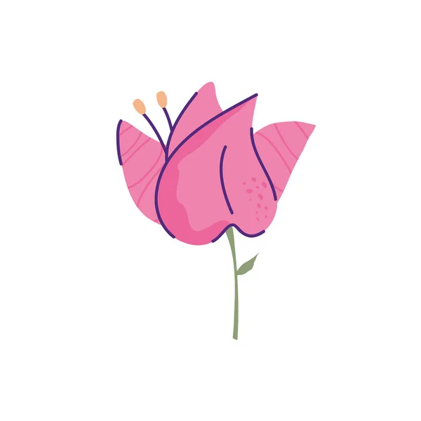 Ładny kwiat natura odizolowany ikona — Wektor stockowy