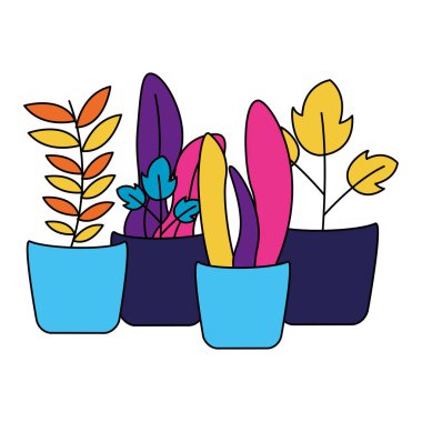 seramik saksılarda ev bitkileri bahçe dekorasyonu