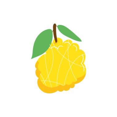 kiwano egzotik meyve düz stili