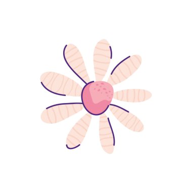 Şirin papatya çiçeği doğa izole ikonu