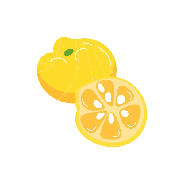 Mandarino stile piatto frutta esotica — Vettoriale Stock