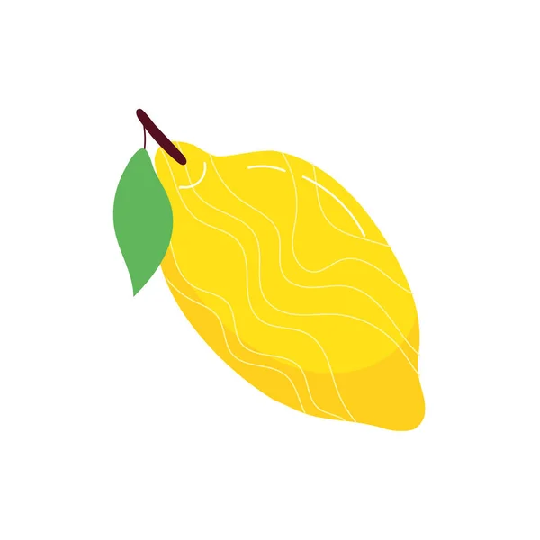 Limão fruta exótica estilo plano — Vetor de Stock