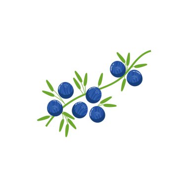 yabanmersini egzotik meyveler düz stil