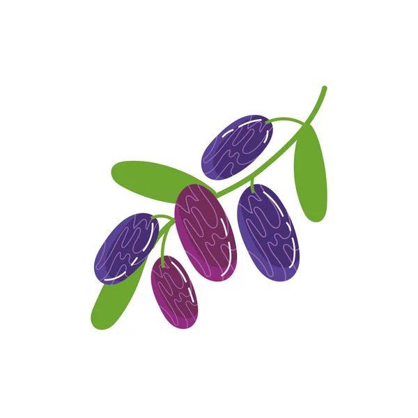 Фиолетовые ягоды экзотический фруктовый плоский стиль — стоковый вектор