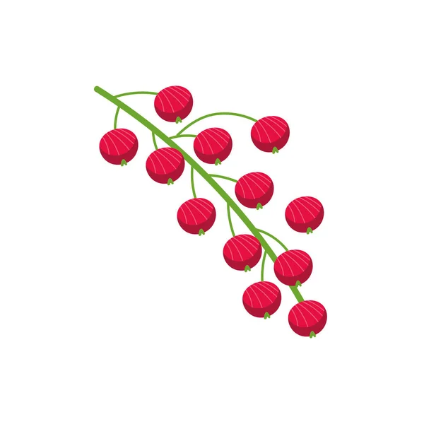 Cherries exotic fruits flat style — Διανυσματικό Αρχείο