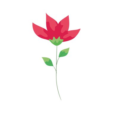 Dalları ve yaprakları olan sevimli bir çiçek.