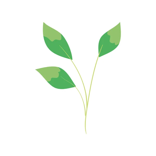 Rama con hojas ecología naturaleza aislado icono — Vector de stock