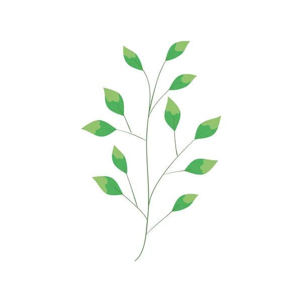 Rama con hojas ecología naturaleza aislado icono — Vector de stock