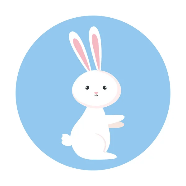 Słodkie królik zwierzę w ramce okrągłe — Wektor stockowy