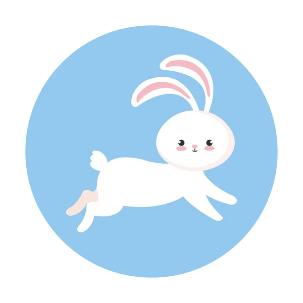Dairesel çerçevede sevimli bir tavşan. — Stok Vektör