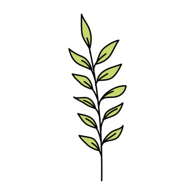 Yapraklı dal doğa ekolojisi izole ikonu
