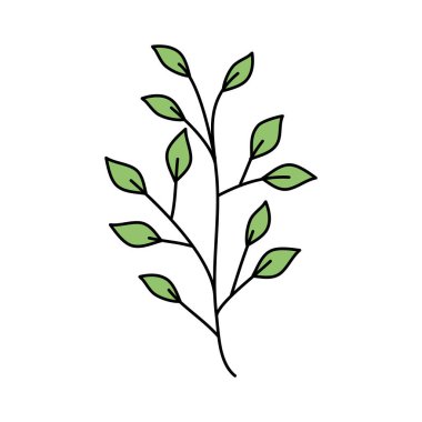Yapraklı dal doğa ekolojisi izole ikonu