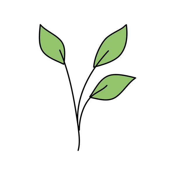 Ramo con foglie natura ecologia isolato icona — Vettoriale Stock