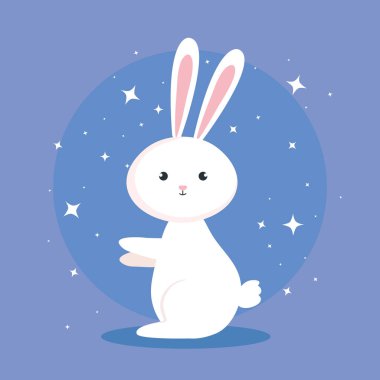 cute rabbit animal in blue background