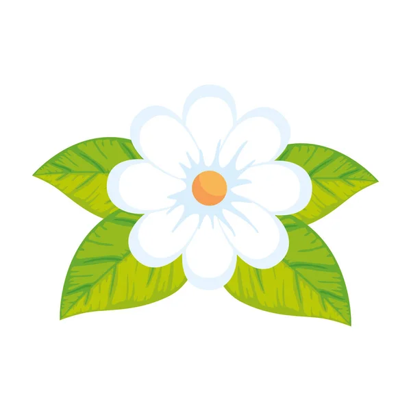 Schattige bloem met bladeren geïsoleerd pictogram — Stockvector