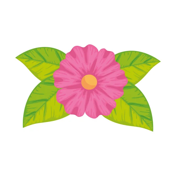 Söt blomma med blad isolerad ikon — Stock vektor