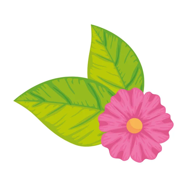 Söt blomma med blad isolerad ikon — Stock vektor