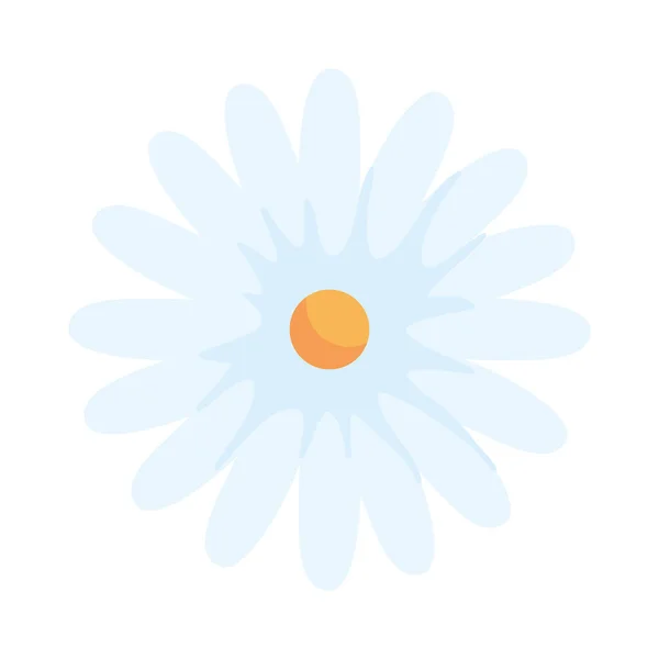 귀여운 꽃 자연의 고립된 아이콘 — 스톡 벡터
