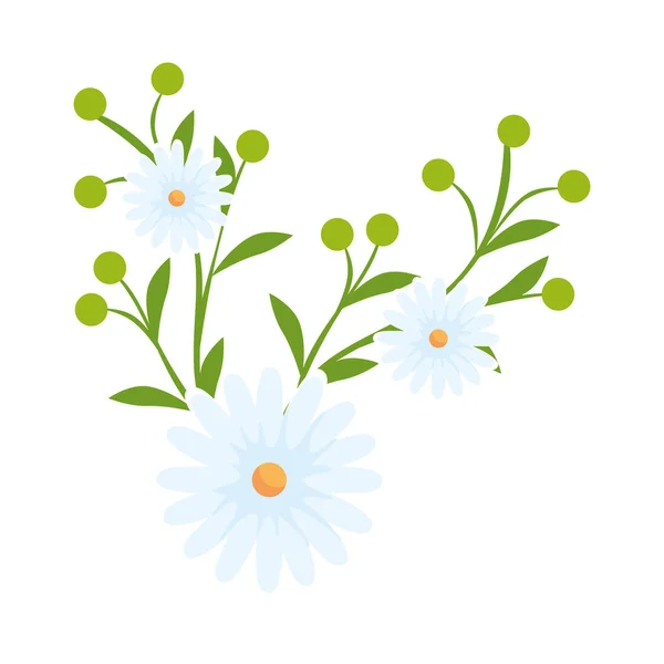 Schattige bloemen met bladeren geïsoleerd pictogram — Stockvector