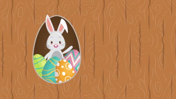 Happy easter animated card with rabbit and eggs painted — Stock Video