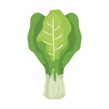 Taze pazı yaprakları sebzeler izole edilmiş ikon