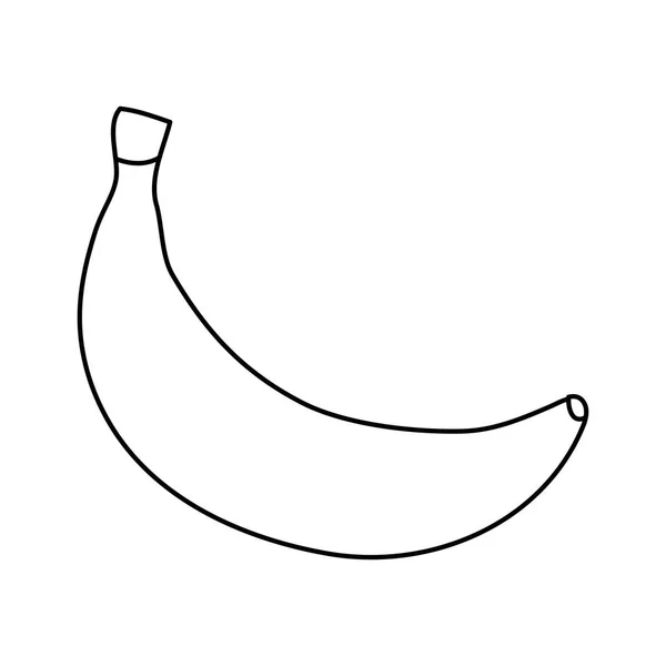 Fresh banana fruit isolated icon — Stock Vector