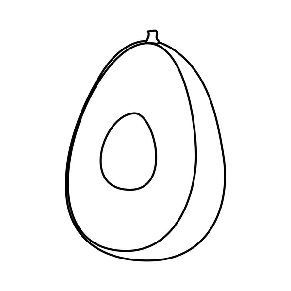 Taze avokado sebzesi izole edilmiş ikon — Stok Vektör