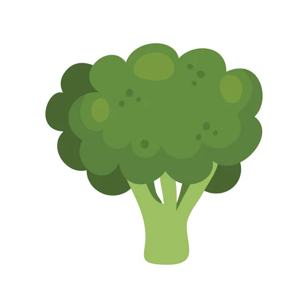 Vers broccoli groente geïsoleerd pictogram Vectorbeelden