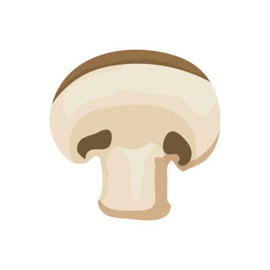 izole mantar sebze simge taze