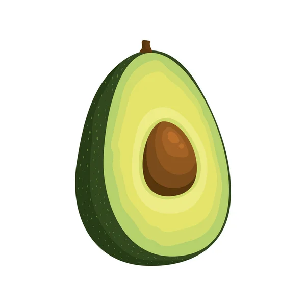 Fresh avocado vegetable isolated icon — Stock Vector