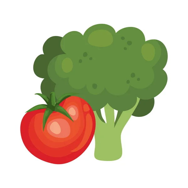 Φρέσκο μπρόκολο με λαχανικά ντομάτας — Διανυσματικό Αρχείο