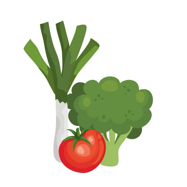 Färsk broccoli med grönsaker isolerade ikoner — Stock vektor