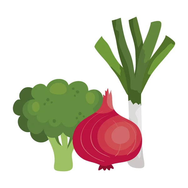 Fresh broccoli with vegetables isolated icons — Stock Vector