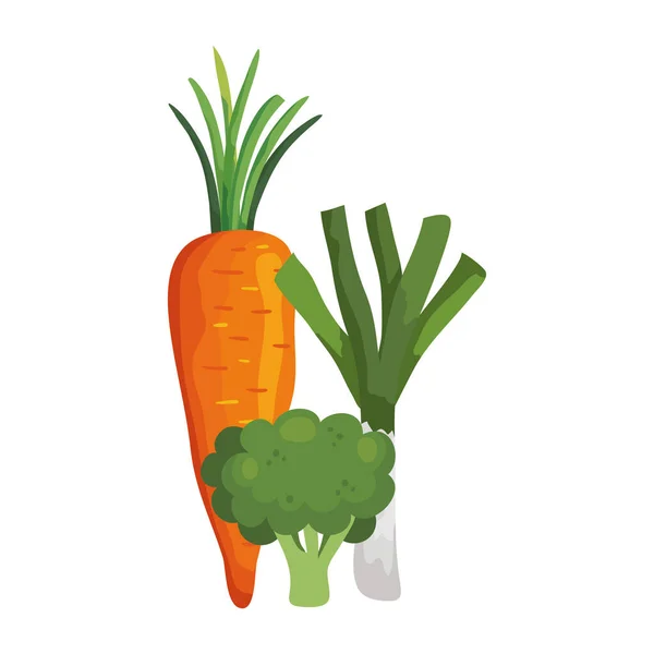 Carotte fraîche au brocoli et poireau — Image vectorielle