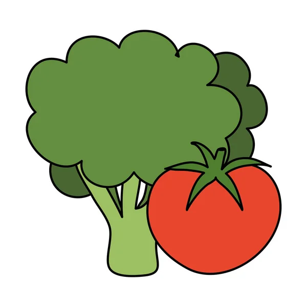 新鲜西兰花加西红柿蔬菜 — 图库矢量图片