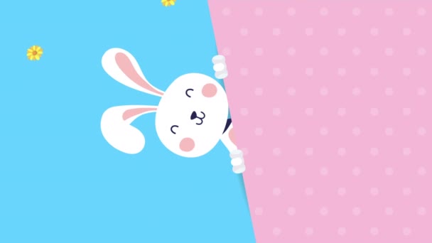 Feliz Pascua tarjeta animada con conejo — Vídeo de stock