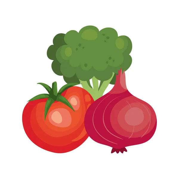Brocoli frais aux légumes icônes isolées — Image vectorielle