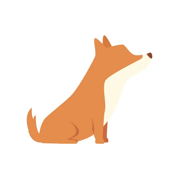 Bonito cão animal isolado ícone — Vetor de Stock