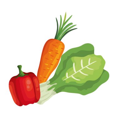 fresh carrot with pepper and chard vegetables