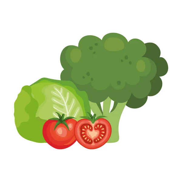 Fresh broccoli with vegetables isolated icons — Stock Vector